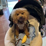 PARKER COFFEE STAND - ご機嫌なシェリ♪