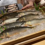 橦木町 しみず - 和良天然鮎　後ろは郡上八幡天然鮎一夜干し