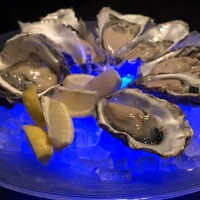 MAIMON GINZA - 