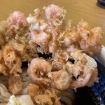 さぬきうどん誠屋 - 姫あまえび天