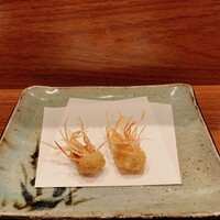 天冨良 よこ田 - 