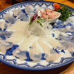 Fugu chin - 