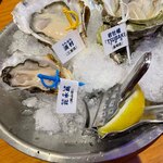 Oyster Bar ジャックポット - 