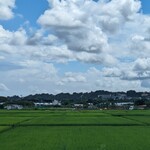 飄禄玉 - (230806)