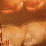 Tori Katsu - ロースター