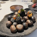 ラ・ヴァガボンド - 化石の上②