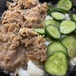 手打ちセルフうどん 海侍 - 肉わさび漬けぶっかけ小 