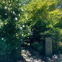 草如庵 - 外観
