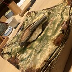 鮨　いの - 天草の魚屋さんから直接こはだだけ仕入れ。