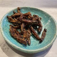 CINA New Modern Chinese - 