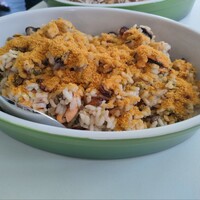 フォリオリーナ・デッラ・ポルタ・フォルトゥーナ - 