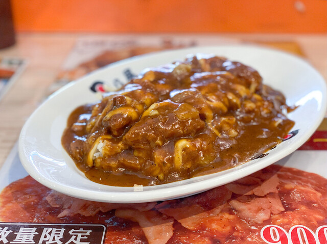 Hinoya Curry Ichinomiya Ten