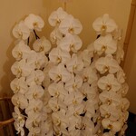 日本橋蛎殻町 すぎた - 内観