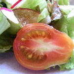 猫猫 - サラダのミニトマトが変わったカタチ♪