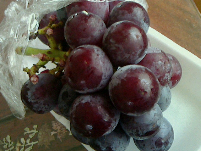 穴沢果樹園よってって直売所 - 喜多方（その他）の写真