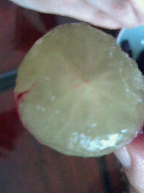 穴沢果樹園よってって直売所 - 喜多方（その他）の写真