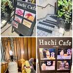 Hachi Cafe - 