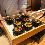 Ebisu Sushi Fujimasa - 