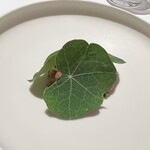 SINAE - 【 近江牛タルタル 】