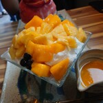 Tokyo ShaveIce Ancredore - 