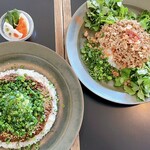 オクシモロン コマチ - 