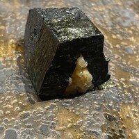 鮨 からす 十三店 -  鮨 からす 十三店 -
