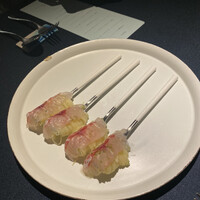 セルサルサーレ - 
