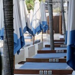 TROPICAL TEMPTATION BEACH CLUB - 