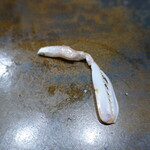 鮨匠 のむら - 蝦蛄の爪(鹿児島県出水産)