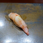 鮨匠 のむら - 波管髭海老【ナミクダヒゲエビ】(鹿児島県錦江湾産、210m)