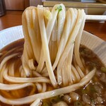 Sanuki Udon Toyoake - 