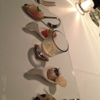 OTTO SETTE - 