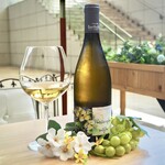 ビフトロ バイ ラ コクシネル - 