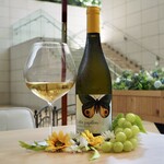 ビフトロ バイ ラ コクシネル - 