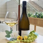 ビフトロ バイ ラ コクシネル - 