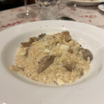 ボナ・フォルケッタ - 