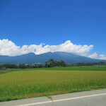 ツルヤ - またね！