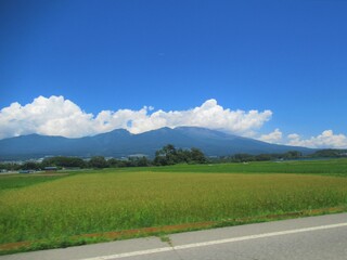 ツルヤ - またね！