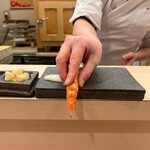 寿司赤酢・望月 - 