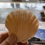 松治郎の舗 - 貝殻型