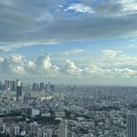 天空の庭　星のなる木 - 