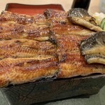 Unagi Kazutomo - 