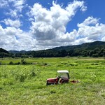 いち福 - 隣はこんな長閑な場所