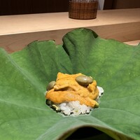 蓮 三四七 - 