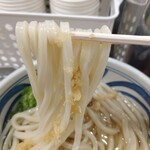 トウキョウライトブルー ホンゴウスリー - かけ大(麺リフト)