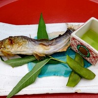 東山望 TAMANOHIKARI - 