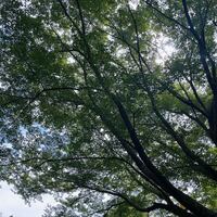 高雄観光ホテル - 