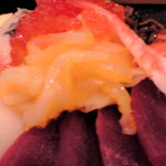 寿司富 - ちらし（この烏賊が旨い）