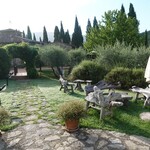 Terre di Baccio - 