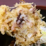 Tateshina - 海鮮かき揚げ